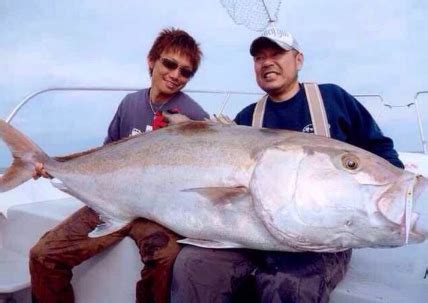 夢到釣到大魚|夢見釣到大魚是什麼意思